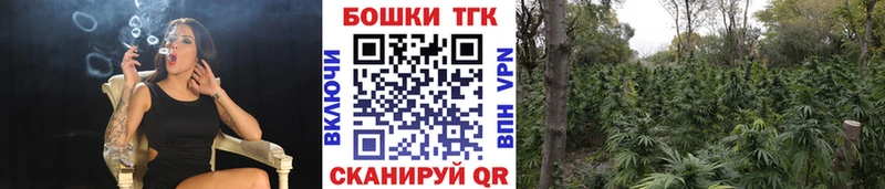 Продажа наркотиков Палласовка СК Меф мяу мяу Гашиш Бошки Шишки