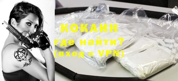 гидра Богданович