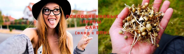 a pvp Богородск