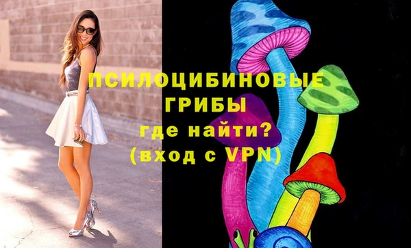 гидра Богданович