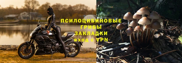 гидра Богданович