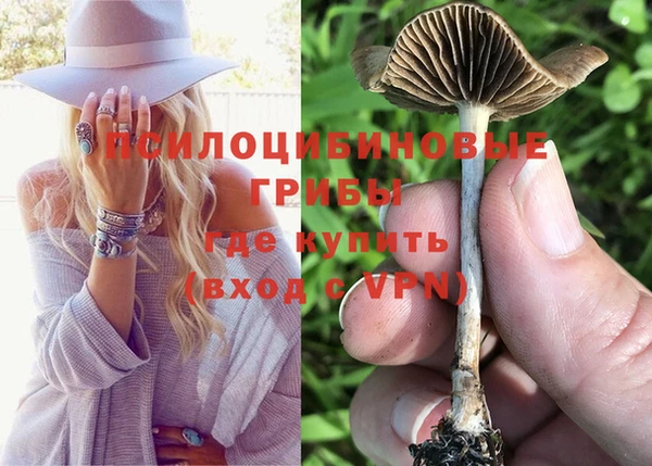 гидра Богданович