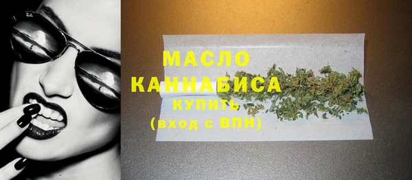 гидра Богданович