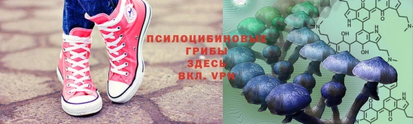 a pvp Богородск